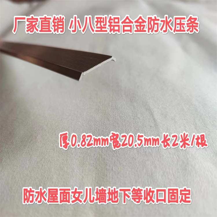 Suxin Waterproof Membrane Pressure Strip Stainless Steel Removable Rubber Waterstop Used as a Companion